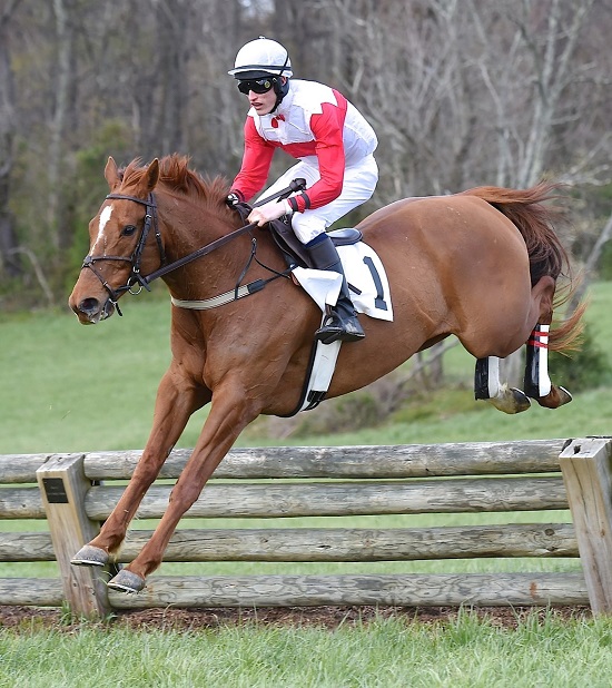 odh16.open timber