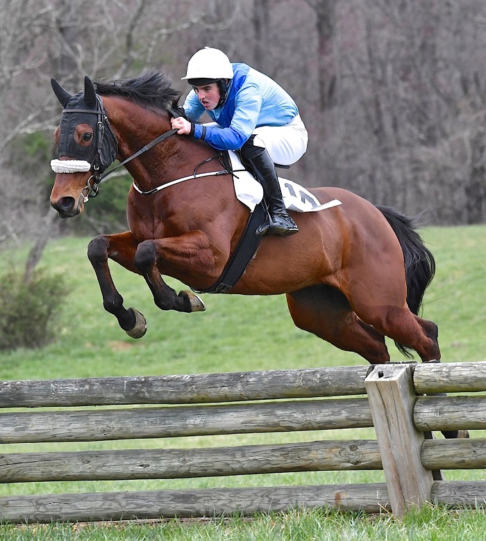 odh18.foxhunter timber
