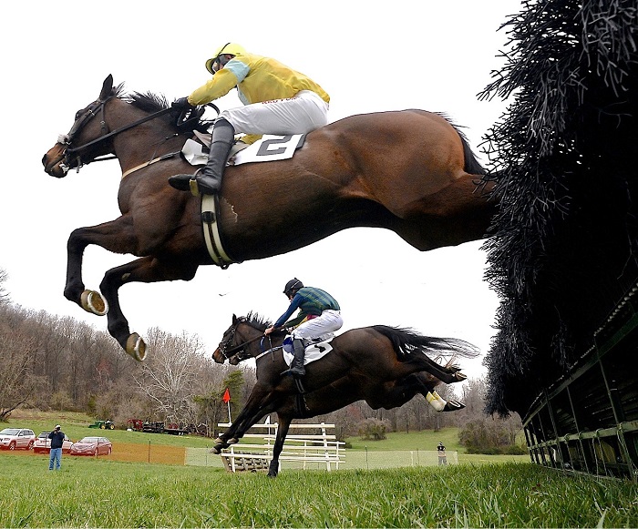 odh18.maiden hurdle.remote