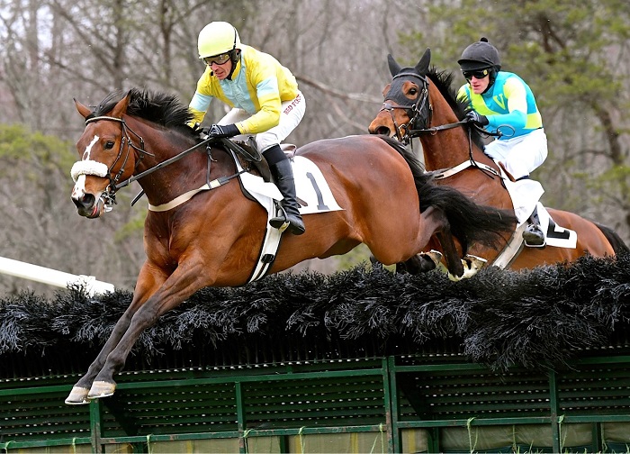odh18.open hurdle