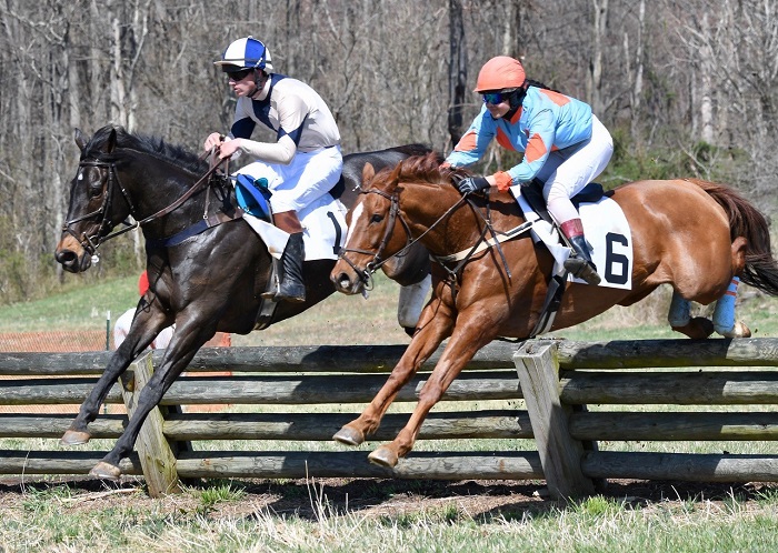 odh19.ladyrideropen timber.lees