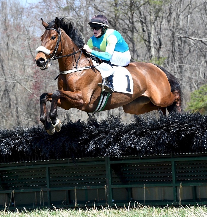 odh19.open hurdle