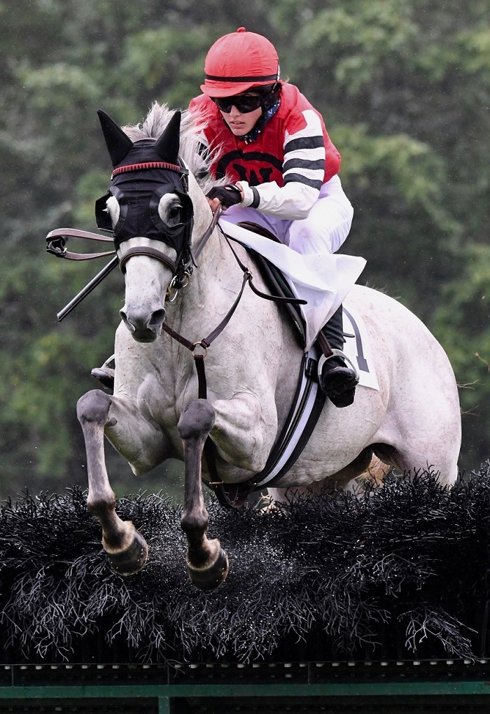 odh20.am nov hurdle