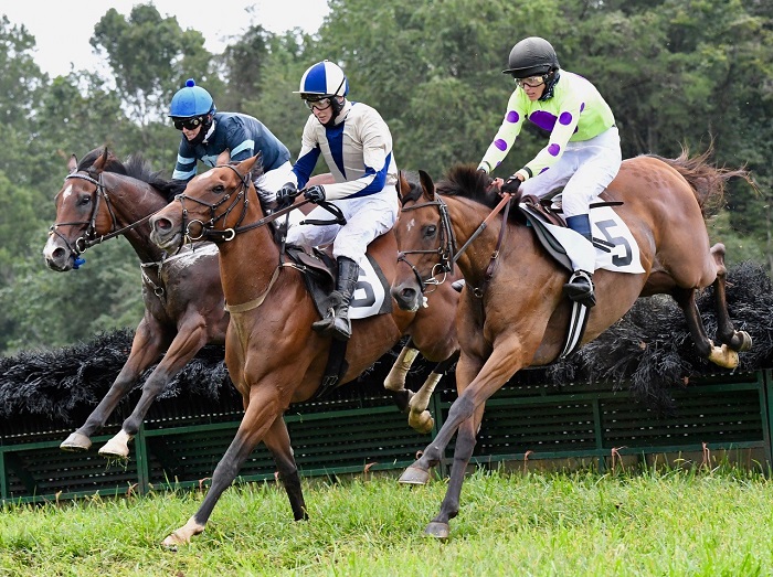 odh20.open hurdle 1