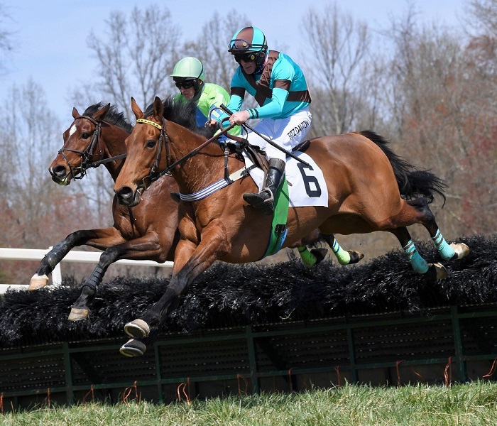 odh 2021.open hurdle