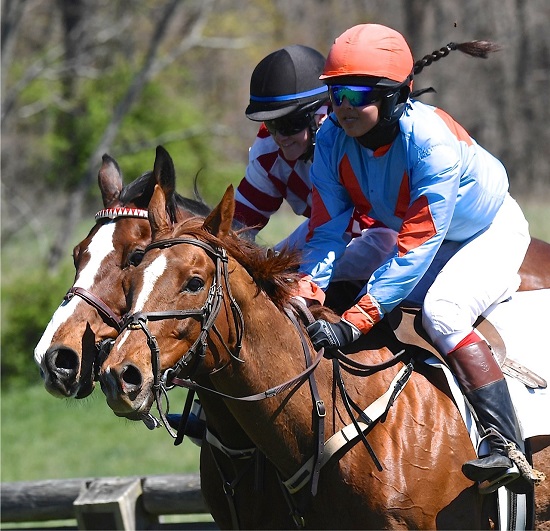 odhptp17.lady riders timber.lees