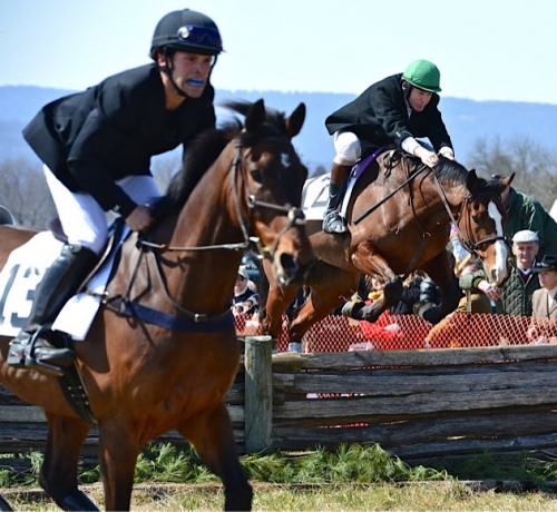 pfhptp13.foxhunter timber