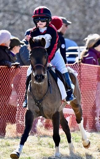 piedmomnt19.small pony.lees