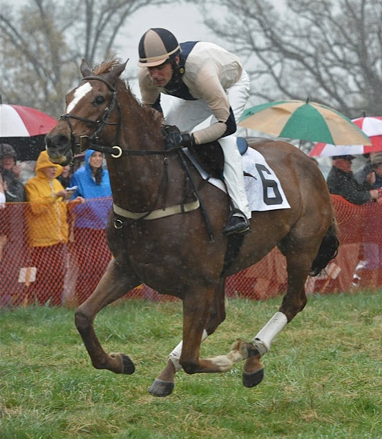 piedmont12.maidentimber