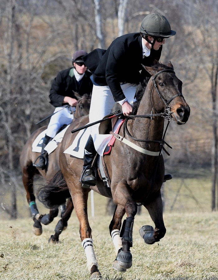 rappahannock ptp 2022.foxhunter timber