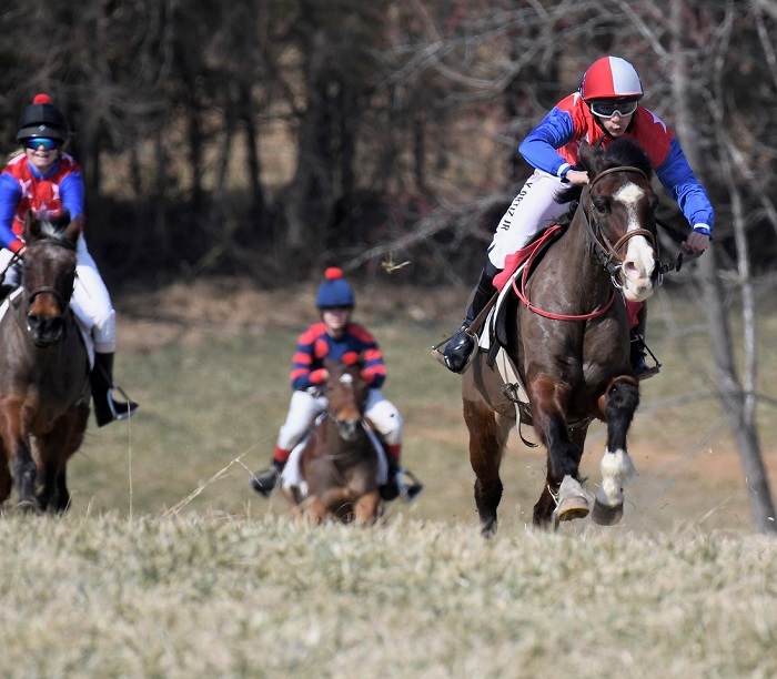 rappahannock ptp 2022med pony
