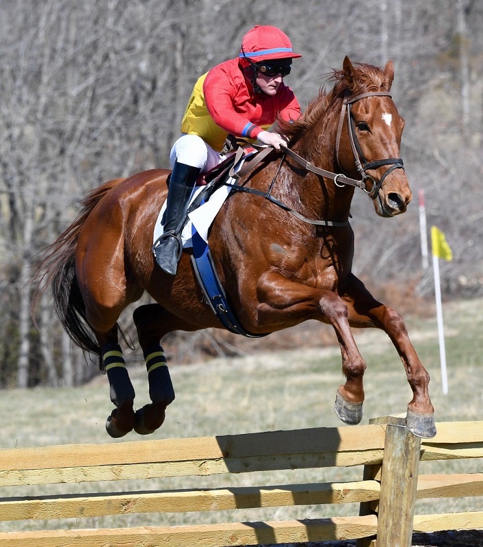 rappahannockptp.maiden timber