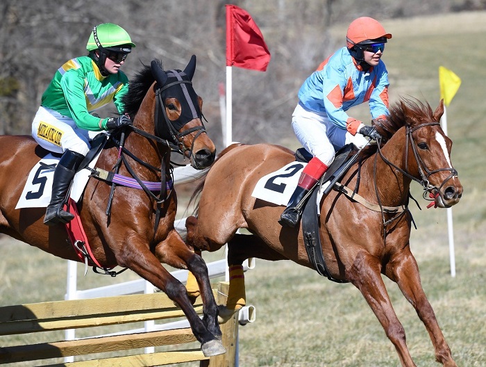 rappahanockptp.lady rider timber