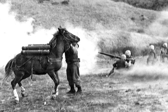 sergeant reckless