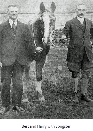 songster bert harry3
