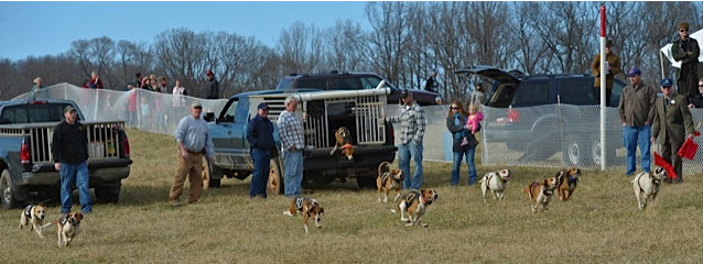 thfv hounds