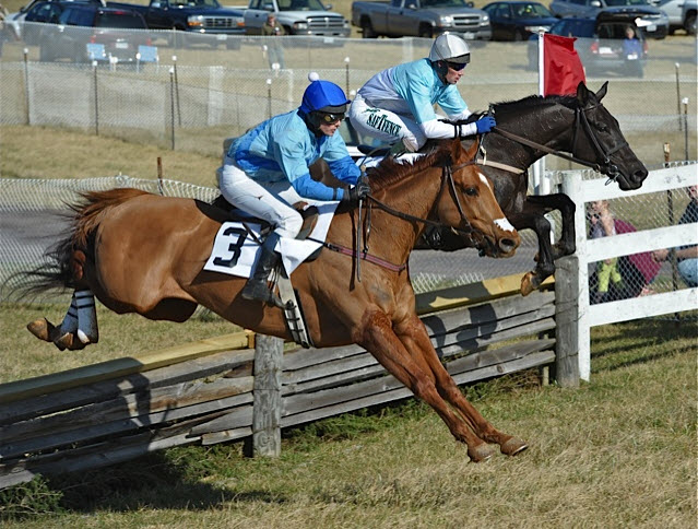 thfv novice timber