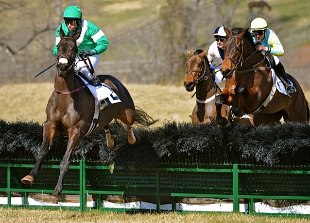thfv open hurdle