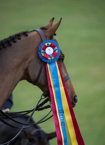 vafhc.champ.summers