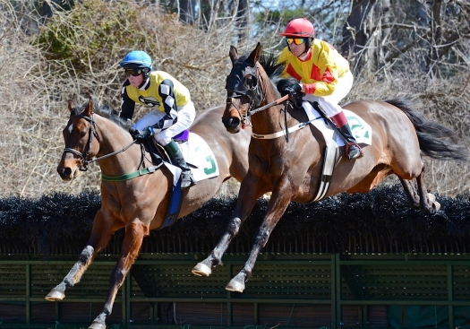 warrenton14.am-nov hurdle