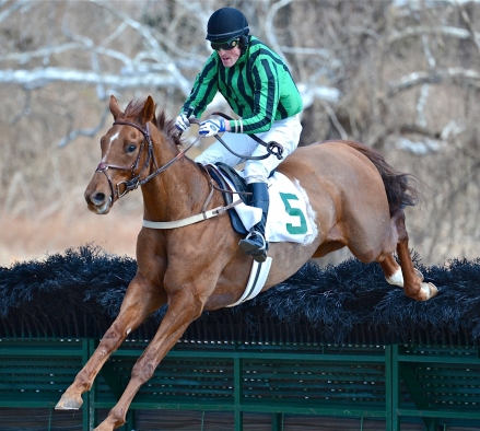 warrenton14.maiden hurdle