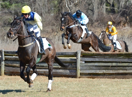 warrenton14.novice timber