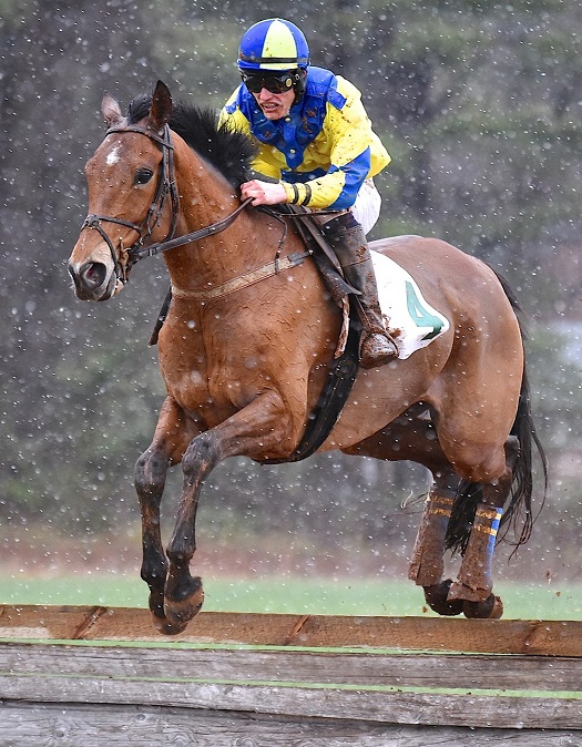 warrenton16.am nov timber.lees