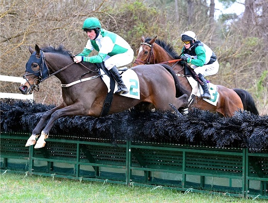 warrenton16.open hurdle.lees