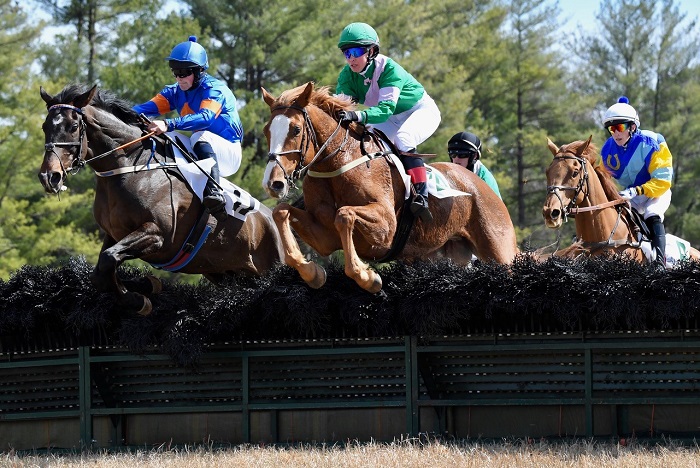 warrenton20.am nov hurdle