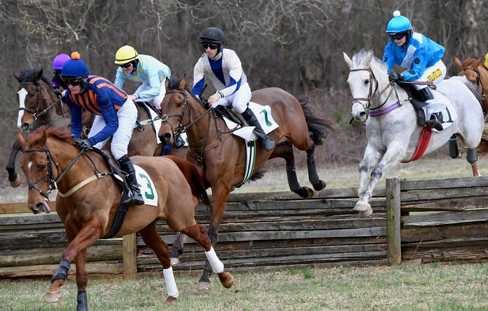 warrenton20.novice timber