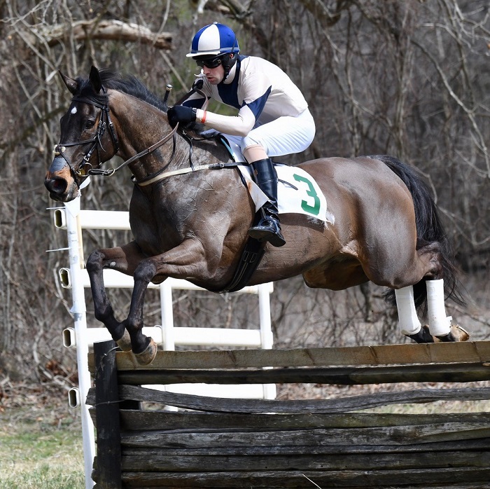 warrenton20.open timber