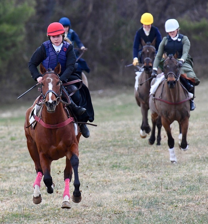 warrenton20.sidesaddle