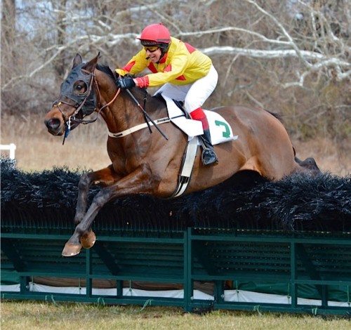 warrentonptp.13.am-nov hurdle