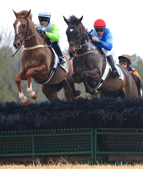 warrentonptp.13.maiden hurdle1
