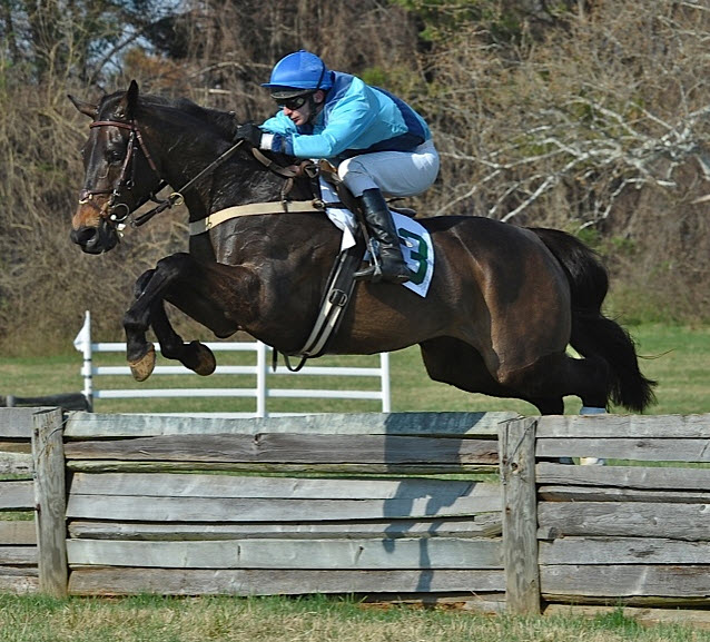 warrentonptp12.rafter