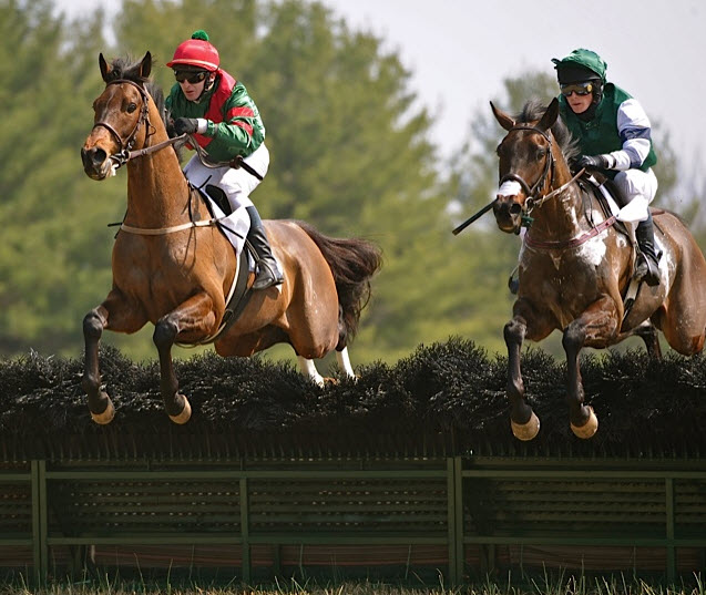 warrentonptp12.rafter2