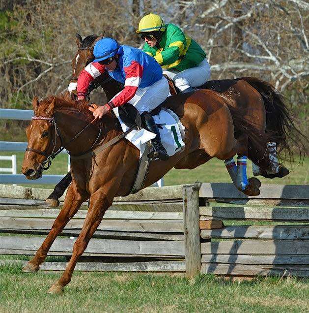 warrentonptp12.timber