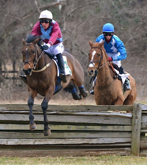 warrentonptp13.novice timber