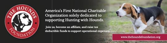 Ad for hounds foundation with logo and tri color hound