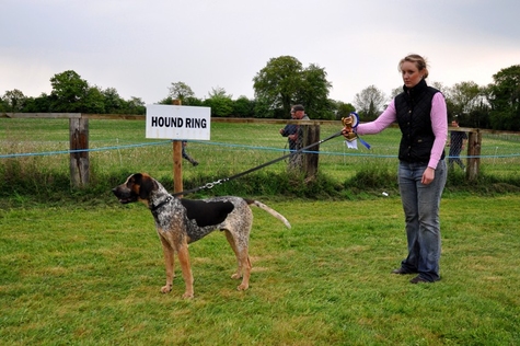 Aine_OBrien_West_Wexford_Harriers_with_Champion_Hound_of_the_Show_Langton