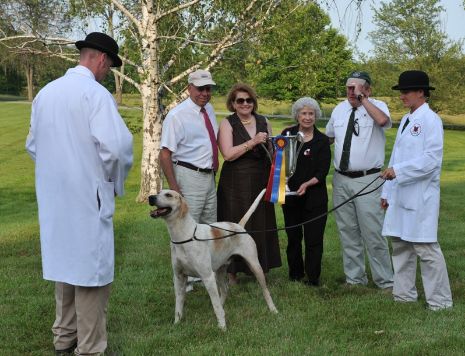 FHL LRG 5337 LO Farrier award