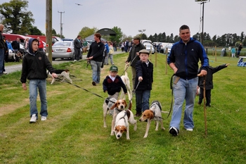 Hound_showing_a_sport_for_all_ages