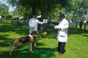 MD_Foxhound_Show_5-8-11_017