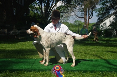 MD_Foxhound_Show_5-8-11_065