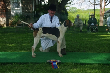 MD_Foxhound_Show_5-8-11_067