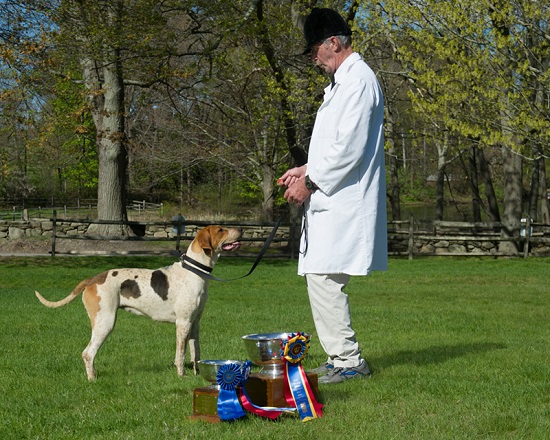 Myopia-hunt-Lupy-shawn tinkham-foxhound-show-grand-champion