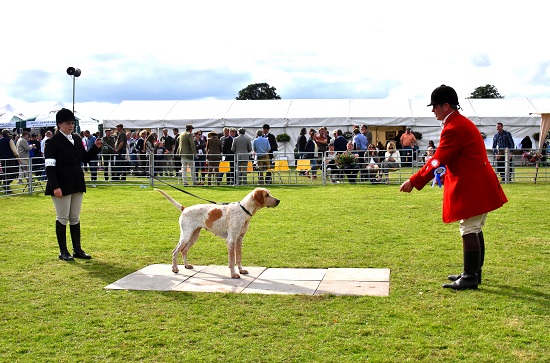 PHOTO HOUNDS Champion Bitch Wicklow Paisley 15 with Wicklow Foxhounds huntsman Philip Lazenby his daughter Shauna