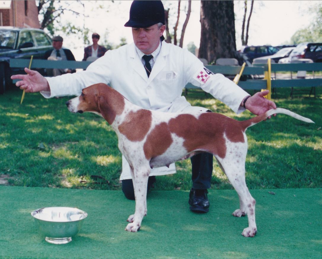 Potomac tingle.pitts.1996lesley howells