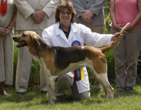 brazos valley marley