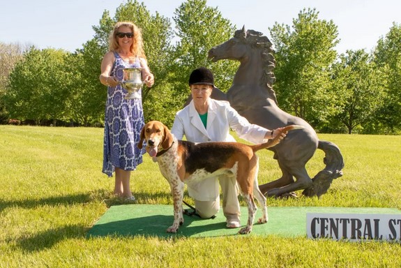 central states22 reserve grand champion